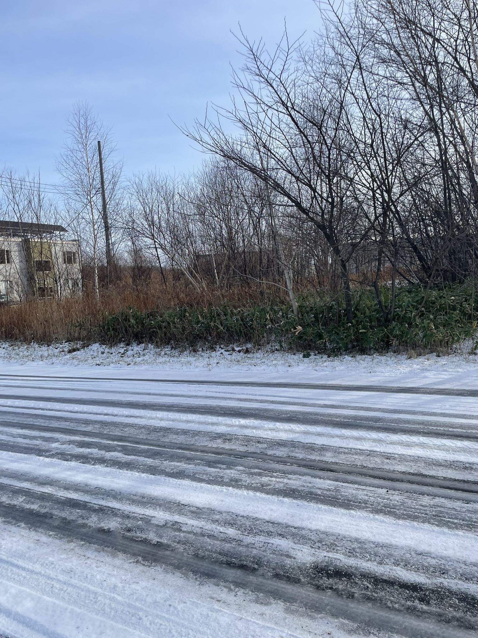 清水町基線にお手頃な土地のご案内です！