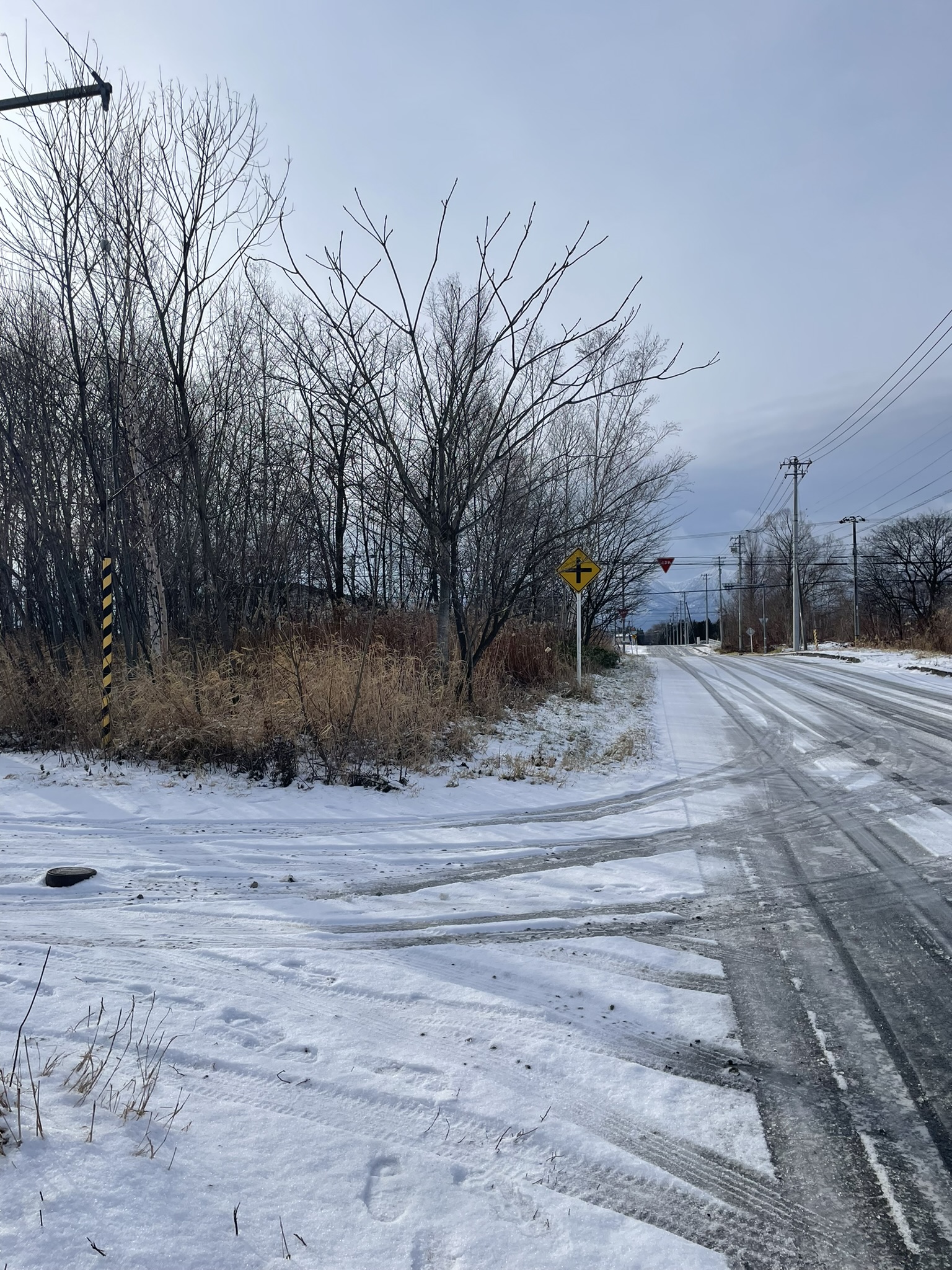 クリックで大きな画像を表示